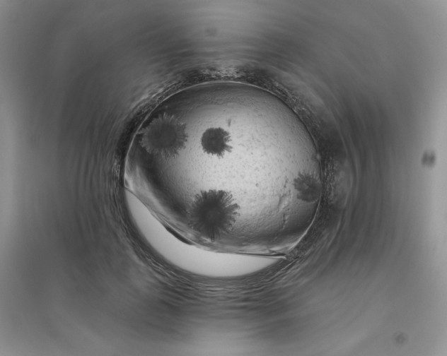 X0000096410747200802071654