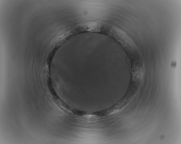 X0000096410748200802071654