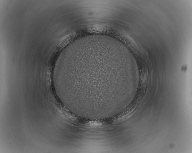 X0000096410749200802071654