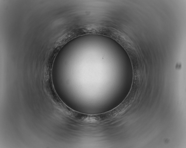 X0000096410751200802071654