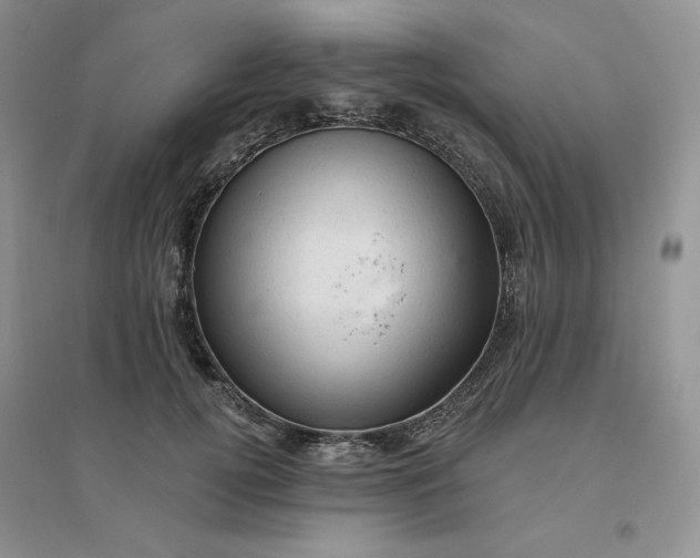 X0000096410752200802071654