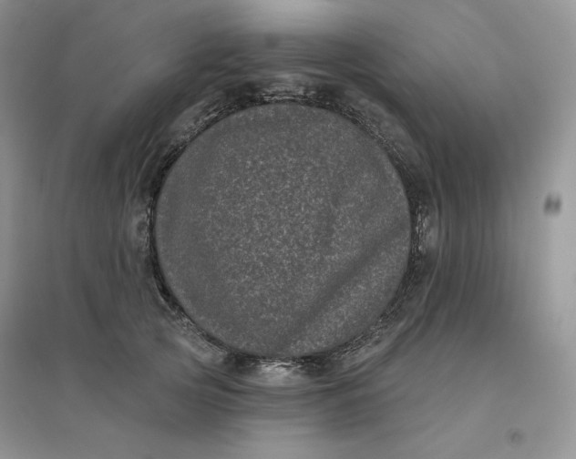 X0000096410753200802071654