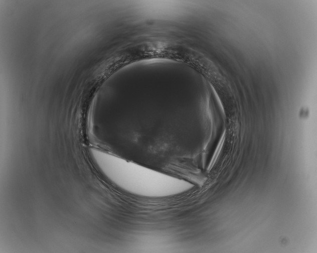 X0000096410754200802071654