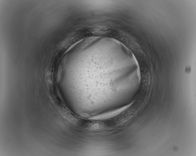 X0000096410755200802071654
