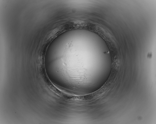 X0000096410756200802071654