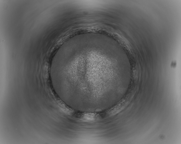 X0000096410757200802071654