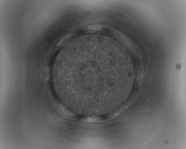 X0000096410758200802071654