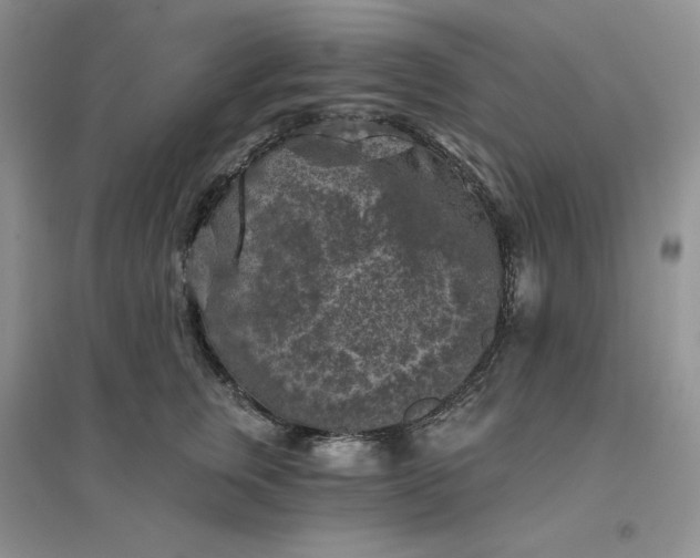 X0000096410759200802071654