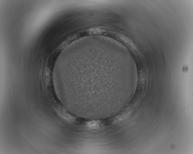 X0000096410761200802071654