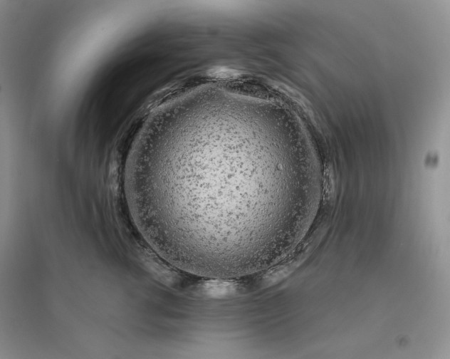 X0000096410762200802071654