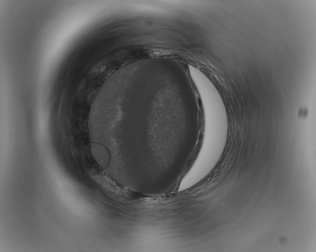 X0000096410763200802071654