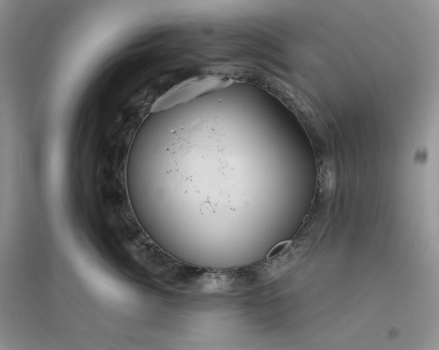X0000096410764200802071654