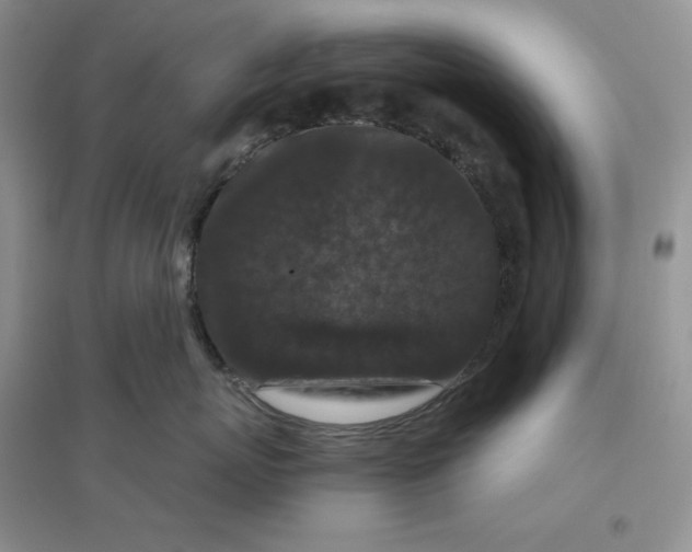 X0000096410767200802071654