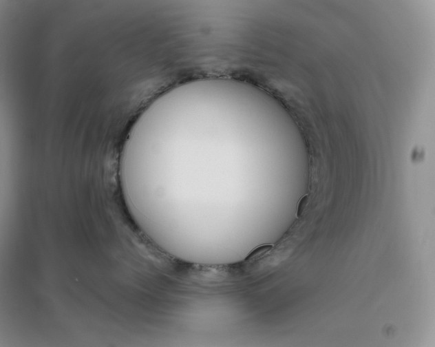 X0000096410768200802071654