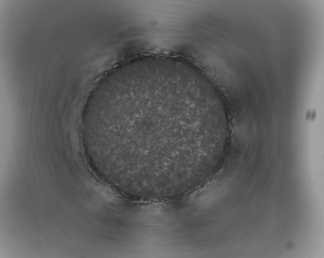 X0000096410769200802071654