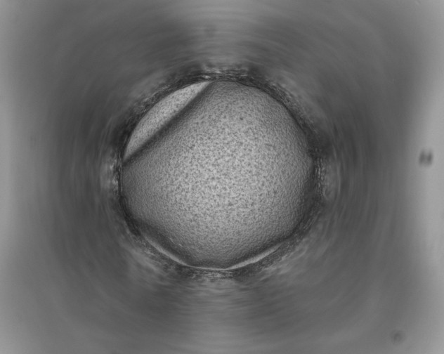 X0000096410770200802071654