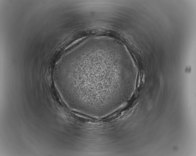 X0000096410771200802071654