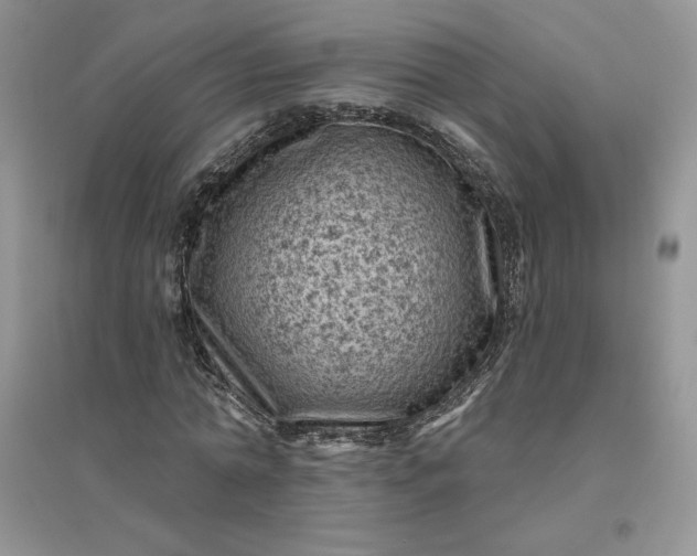 X0000096410774200802071654