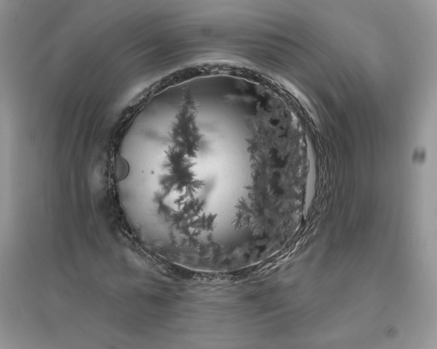 X0000096410775200802071654