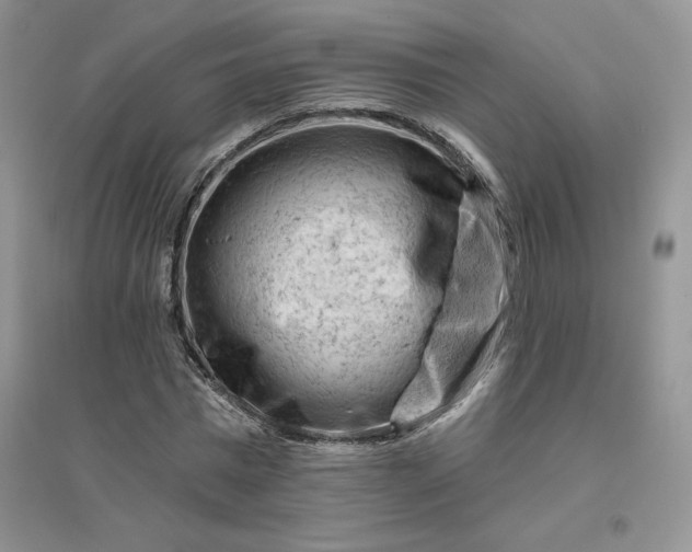 X0000096410777200802071654