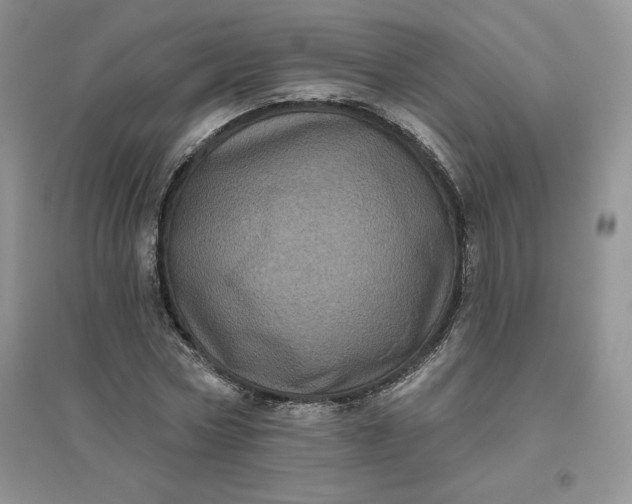 X0000096410778200802071654