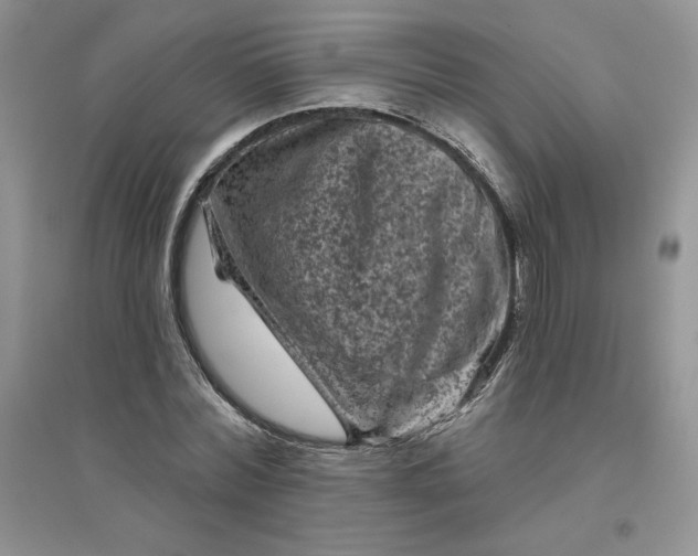 X0000096410780200802071654