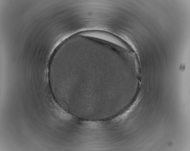 X0000096410781200802071654
