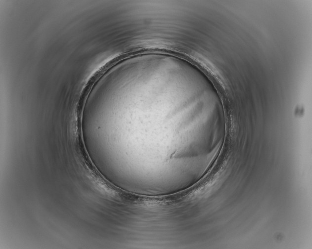 X0000096410782200802071654