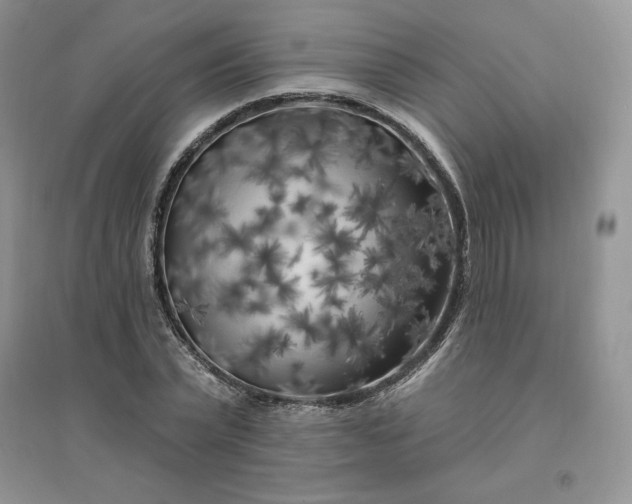 X0000096410783200802071654