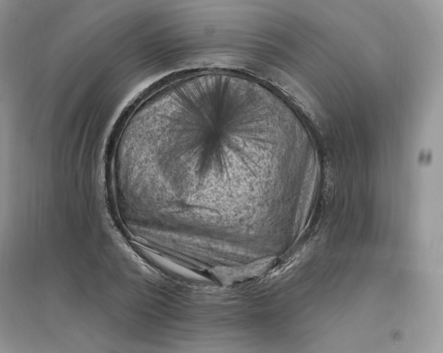 X0000096410784200802071654