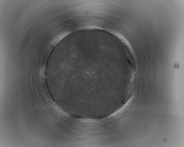 X0000096410785200802071654
