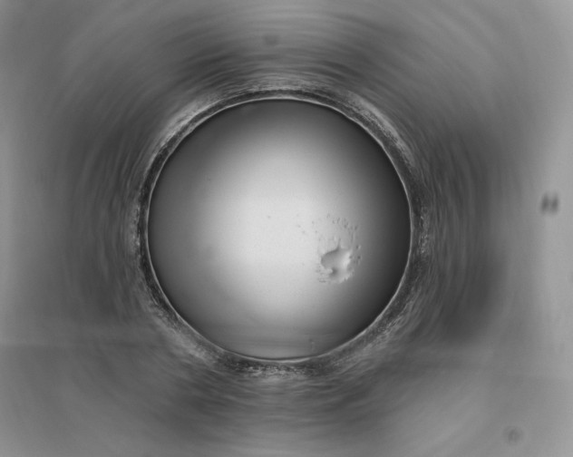 X0000096410786200802071653