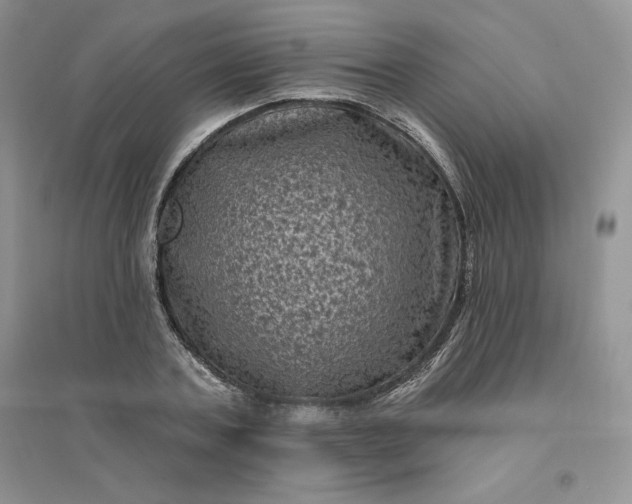 X0000096410787200802071653
