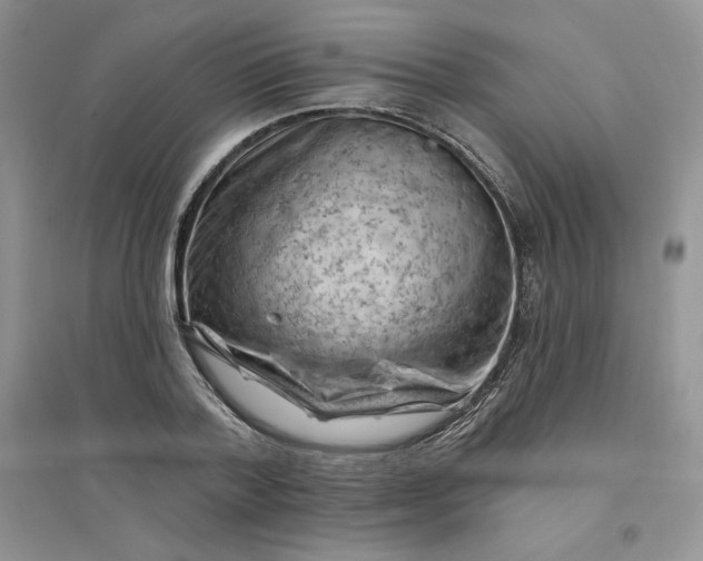 X0000096410788200802071653