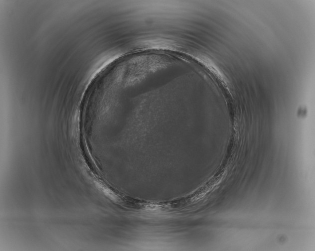 X0000096410790200802071653