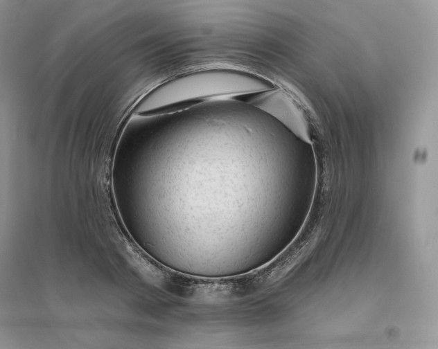 X0000096410793200802071653