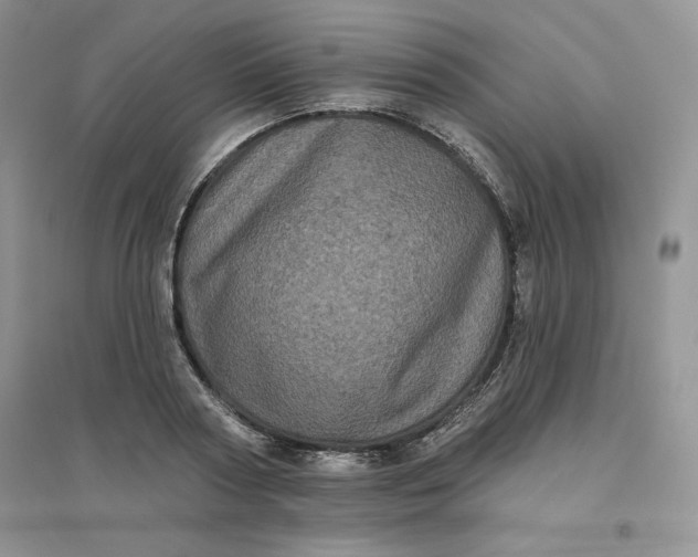 X0000096410794200802071653