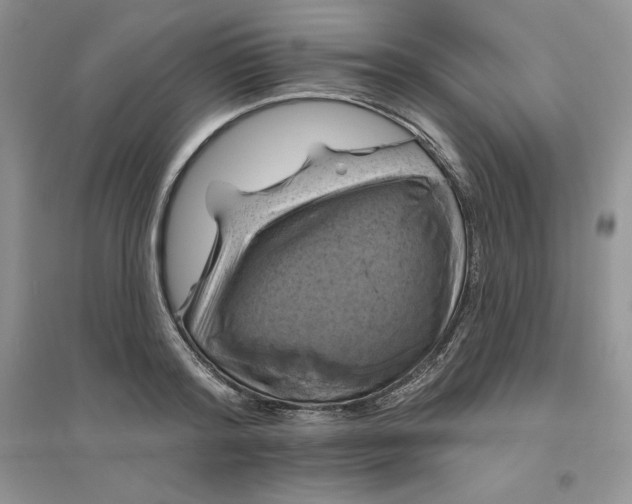 X0000096410796200802071653