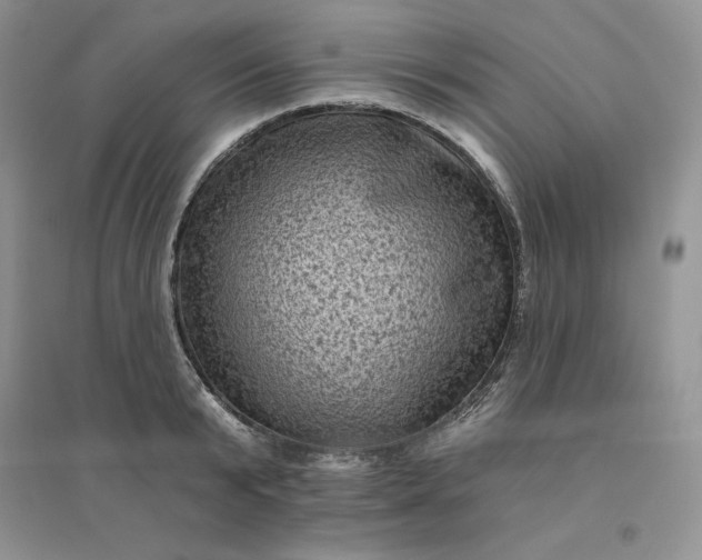 X0000096410799200802071653