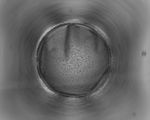X0000096410800200802071653