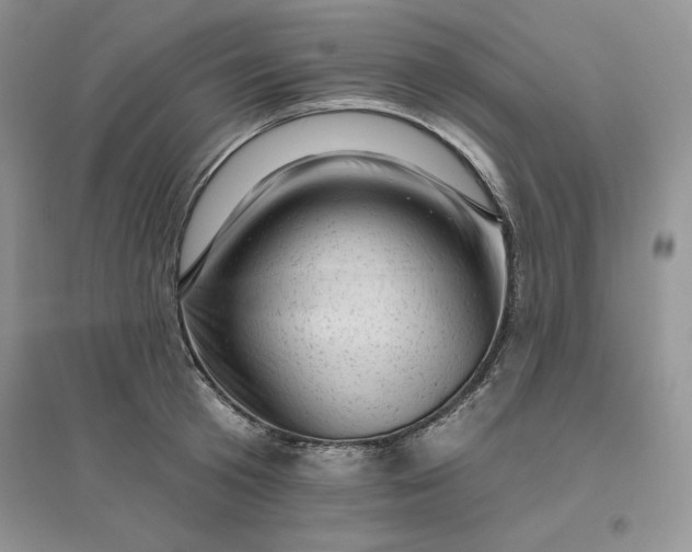 X0000096410801200802071653