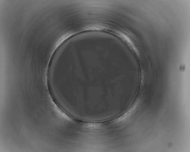 X0000096410802200802071653