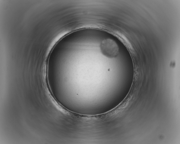 X0000096410804200802071653