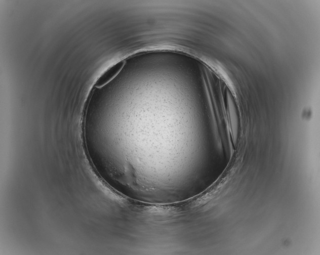 X0000096410805200802071653