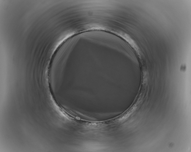 X0000096410806200802071653