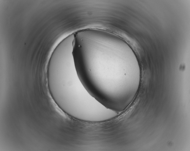 X0000096410808200802071653