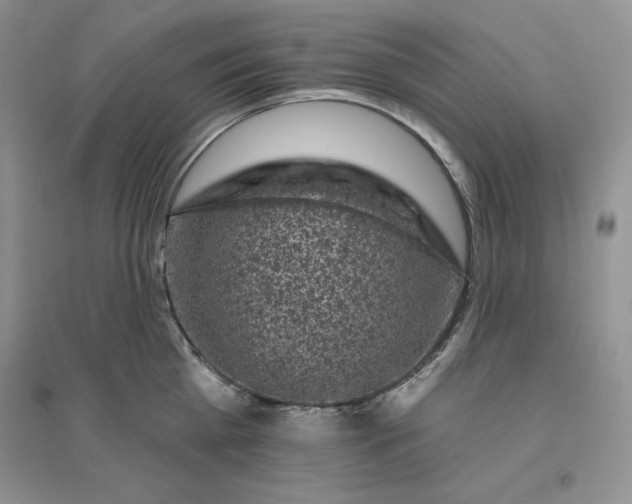 X0000096410809200802071653