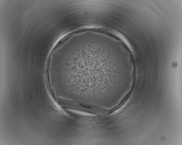 X0000096410810200802071653