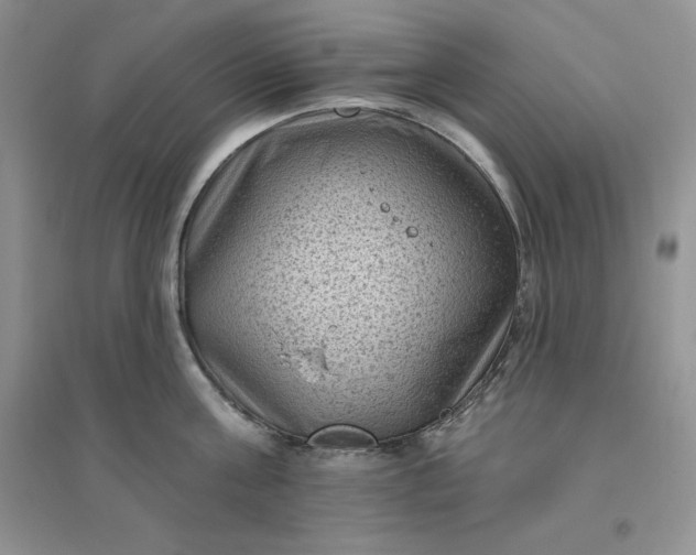 X0000096410811200802071653