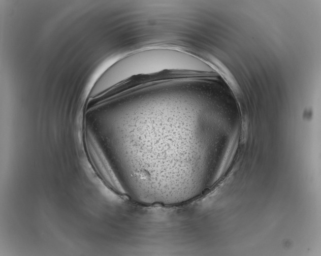 X0000096410812200802071653